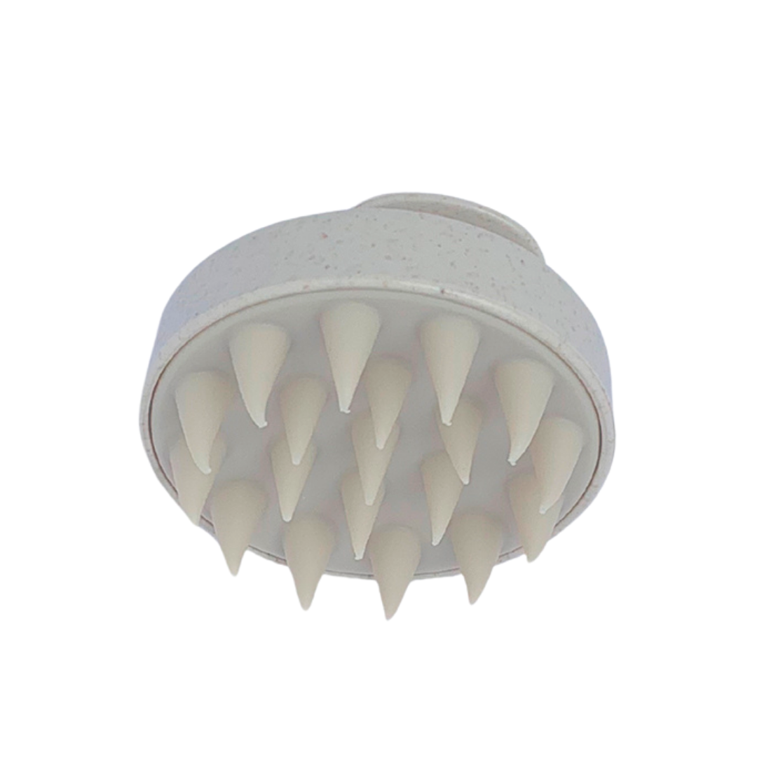 B2B Masajeador Capilar Ecofriendly