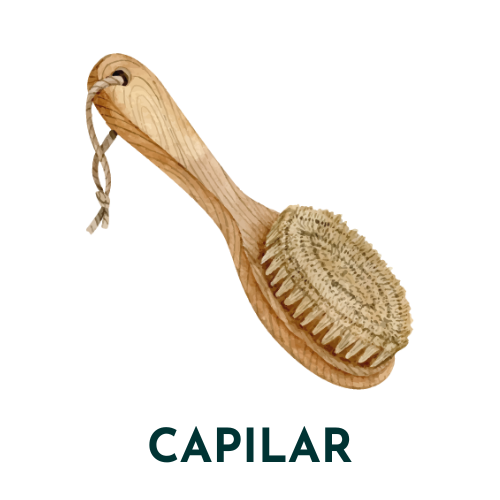 B2B Capilar