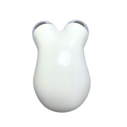 Mini Masajeador Facial de Microcorriente