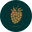 TYBERRYbio logo